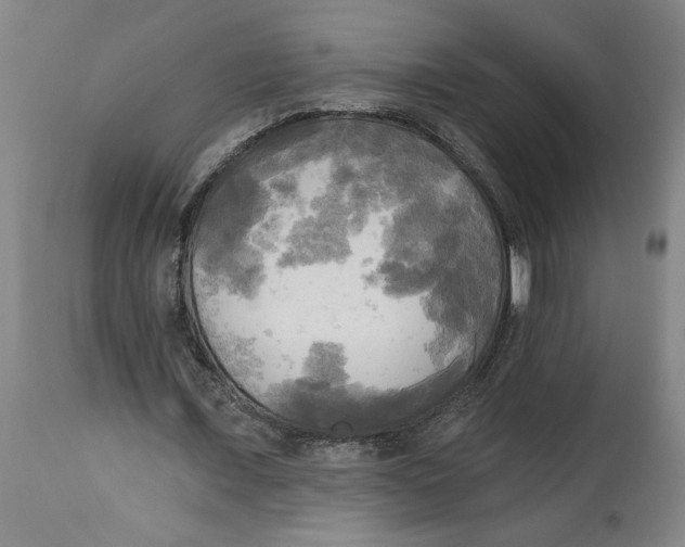 X0000114670675200911181208