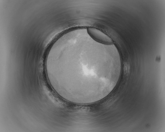 X0000114670676200911181208