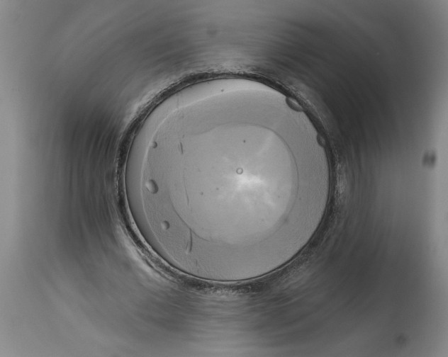 X0000114670677200911181208