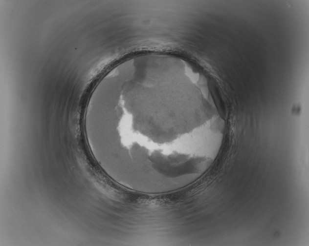 X0000114670679200911181208