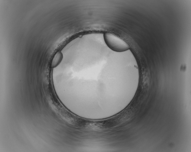 X0000114670680200911181208