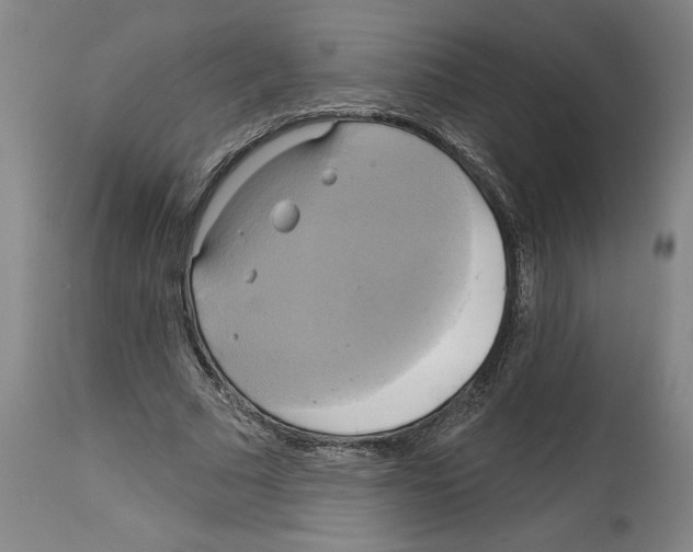 X0000114670681200911181208