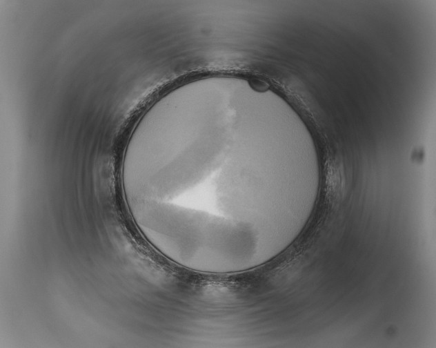 X0000114670684200911181208