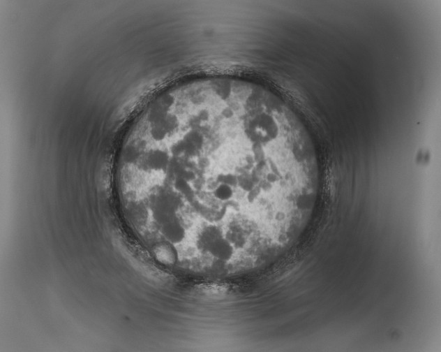 X0000114670687200911181207