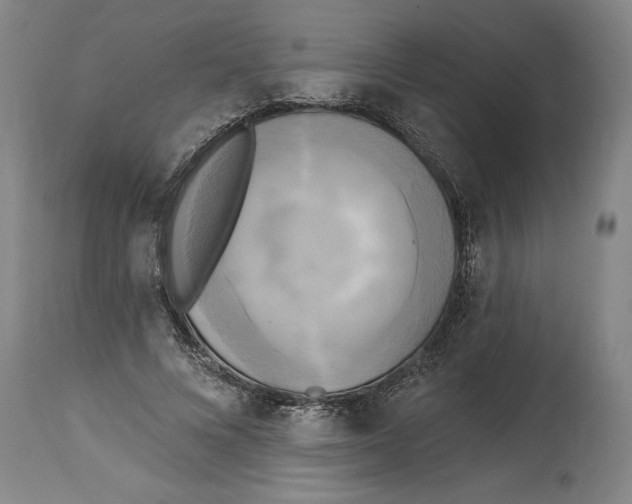 X0000114670688200911181207