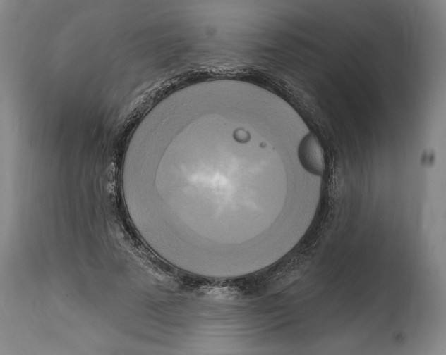 X0000114670689200911181207