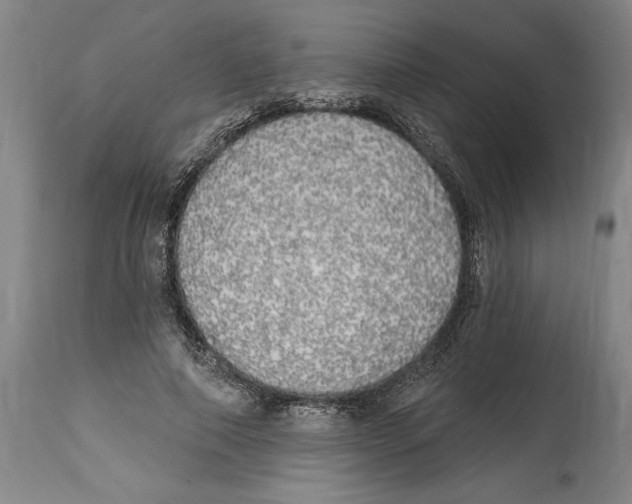 X0000114670690200911181207