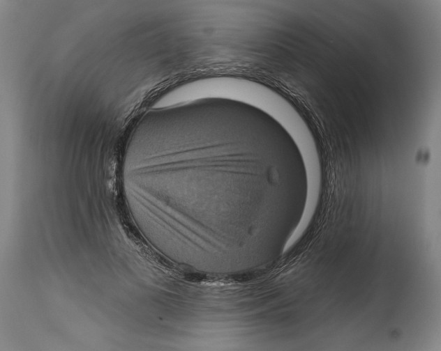 X0000114670693200911181207