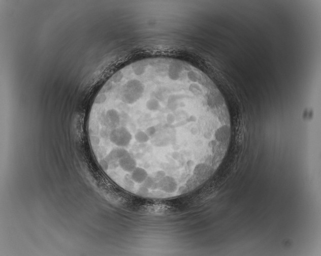 X0000114670695200911181207