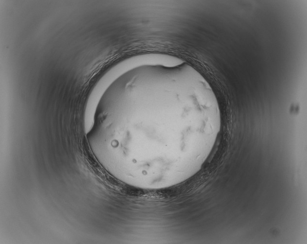 X0000114670696200911181207