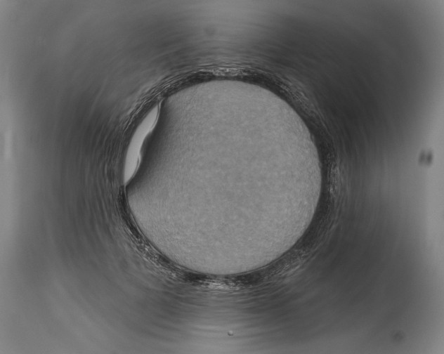 X0000114670697200911181207