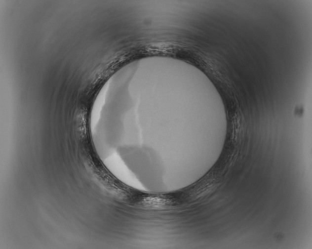 X0000114670699200911181207