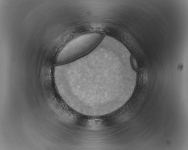 X0000114670700200911181207