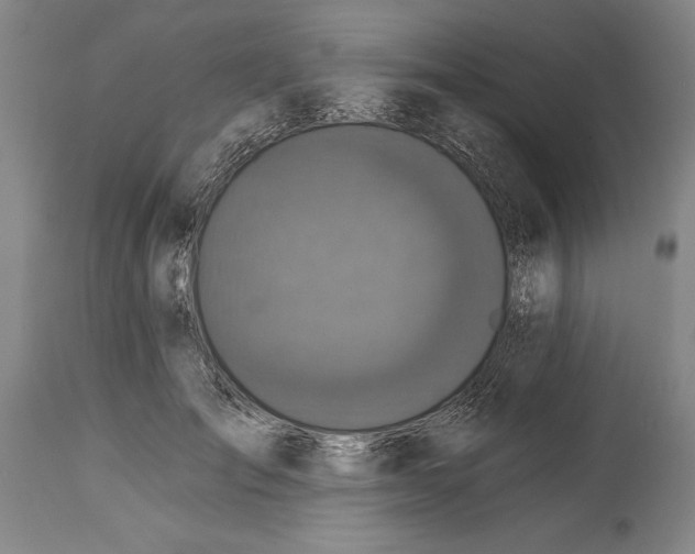 X0000114670701200911181207