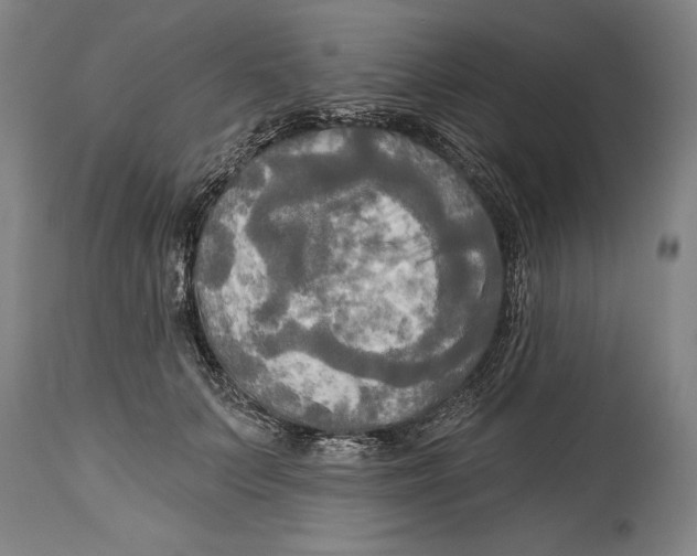 X0000114670703200911181207