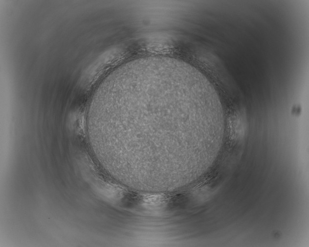 X0000114670705200911181207