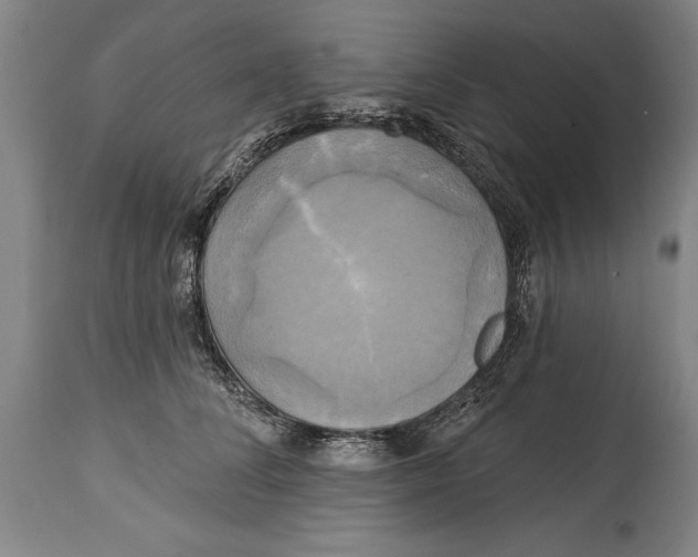 X0000114670708200911181207