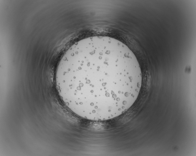 X0000114670710200911181207