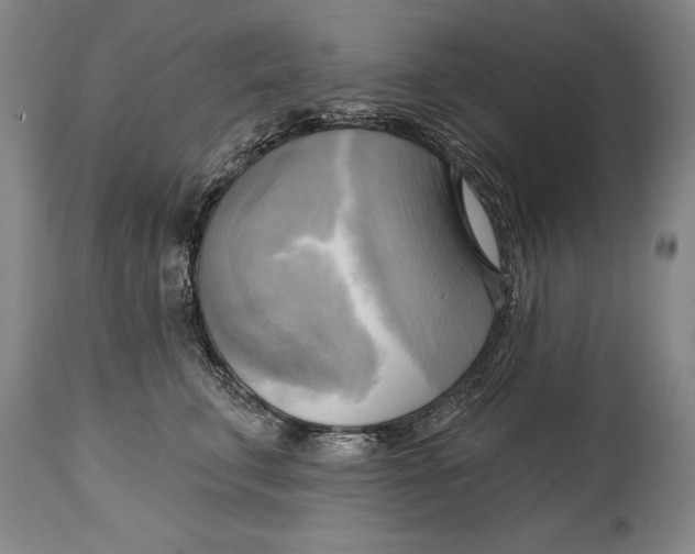 X0000114670711200911181207