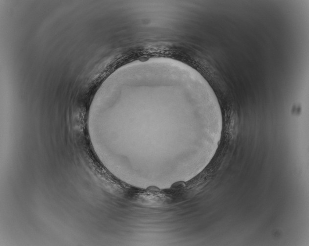 X0000114670712200911181207