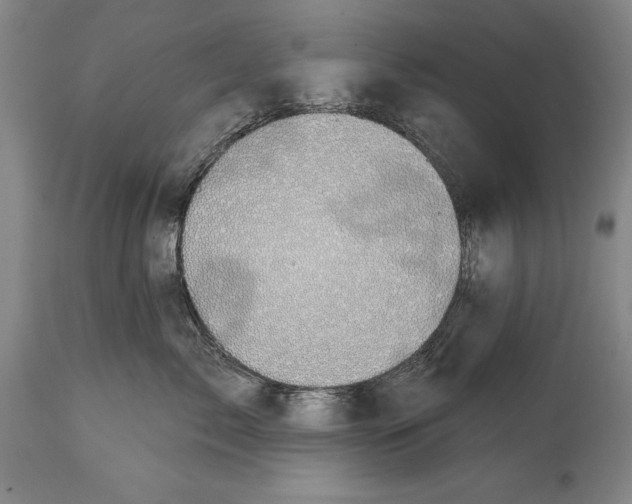 X0000114670717200911181207