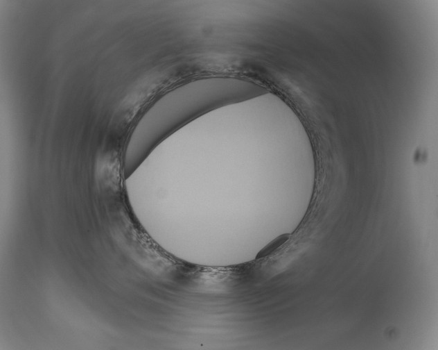 X0000114670720200911181207