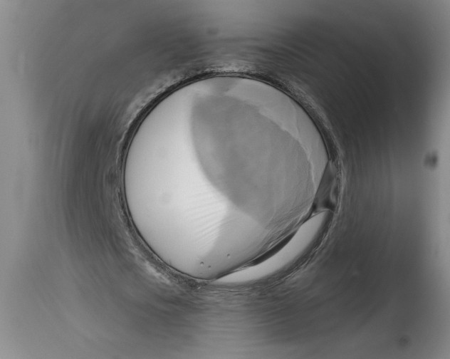 X0000114670721200911181206