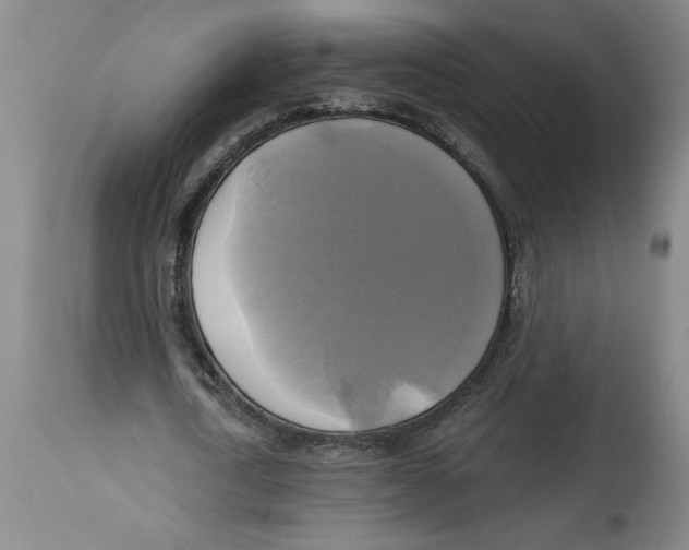 X0000114670722200911181206