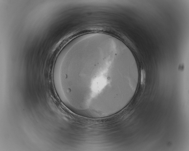 X0000114670723200911181206