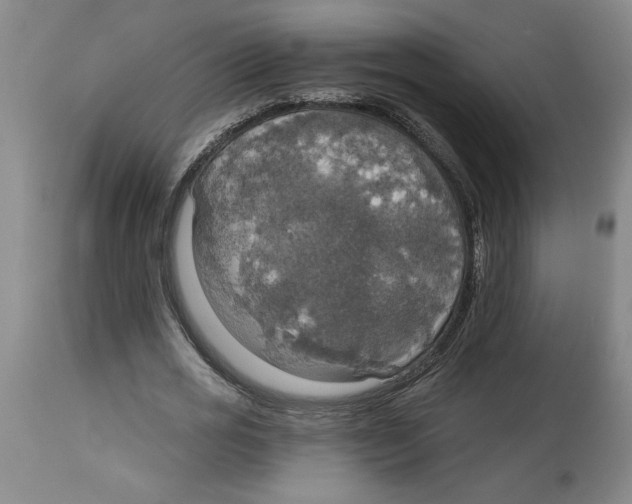 X0000114670725200911181206