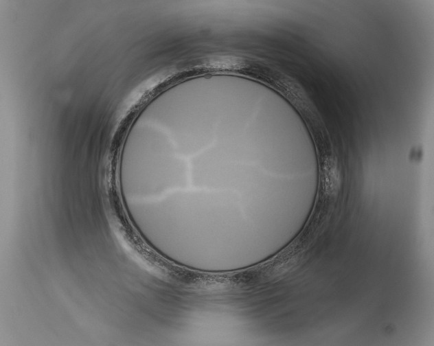 X0000114670726200911181206