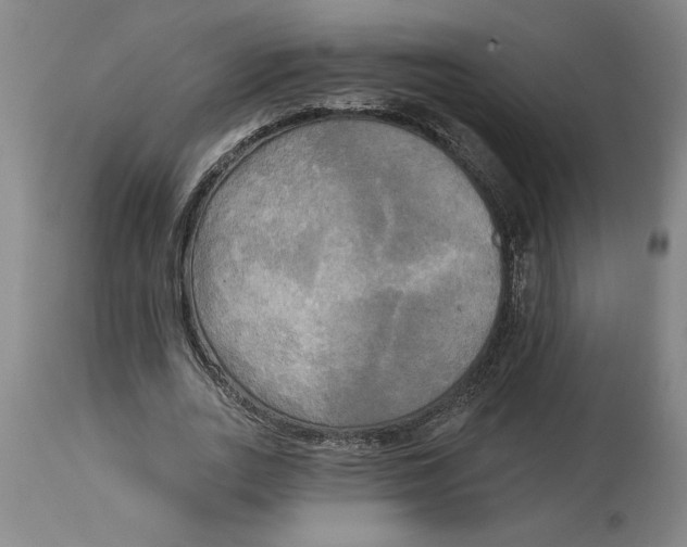 X0000114670727200911181206