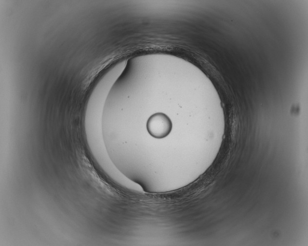 X0000114670729200911181206