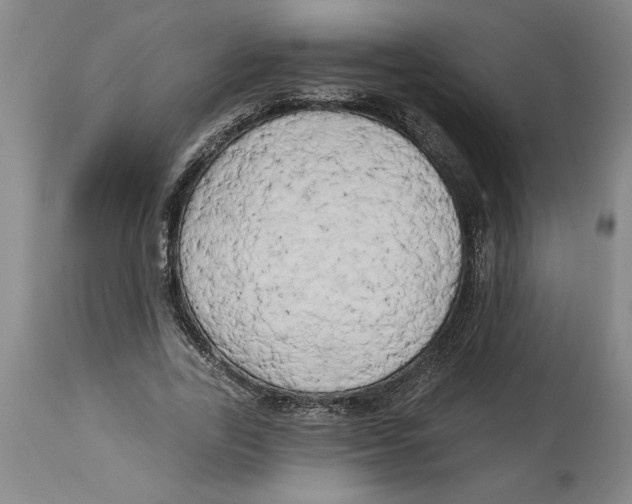 X0000114670731200911181206