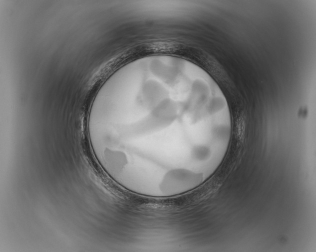 X0000114670733200911181206