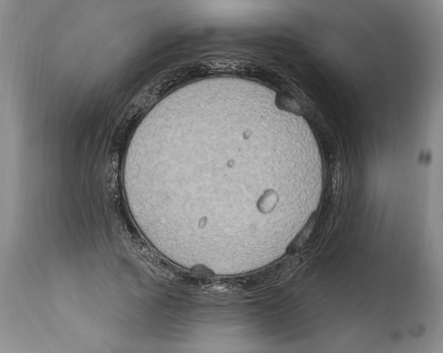 X0000114670737200911181206