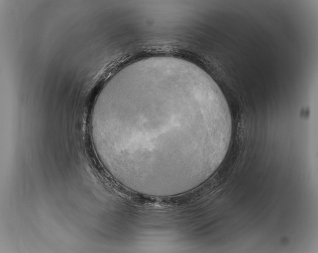 X0000114670739200911181206