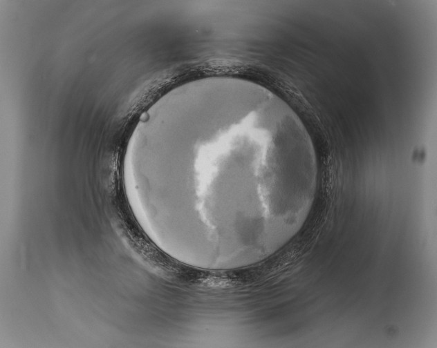 X0000114670742200911181206