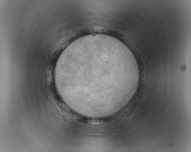 X0000114670746200911181207