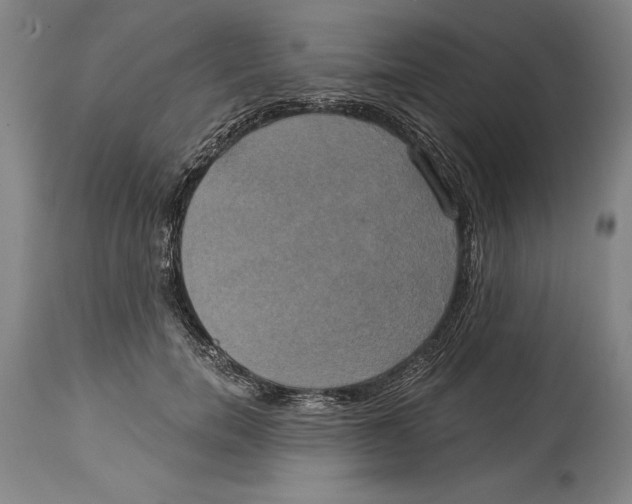 X0000114670750200911181207