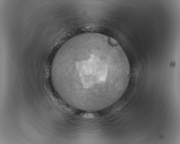 X0000114670751200911181207