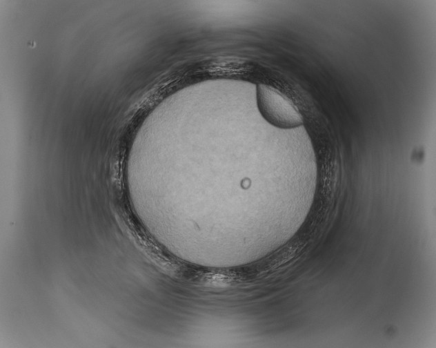 X0000114670755200911181207