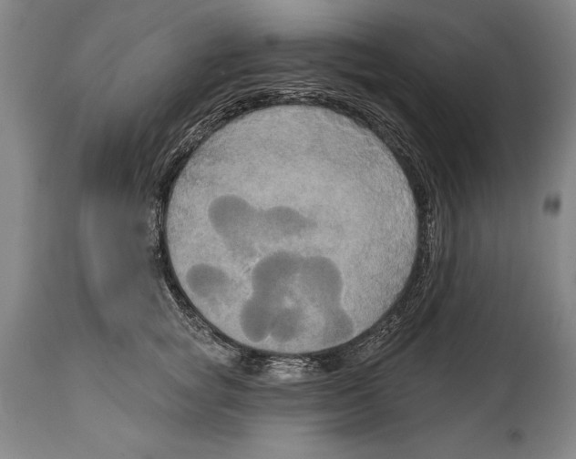 X0000114670757200911181207