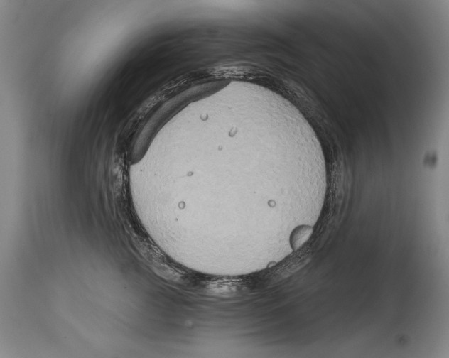 X0000114670761200911181207