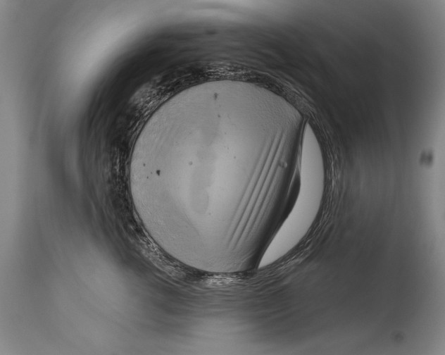 X0000114670762200911181207