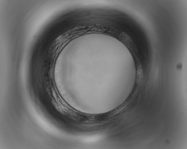 X0000114670765200911181207