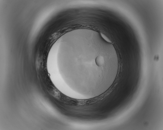 X0000114670766200911181207