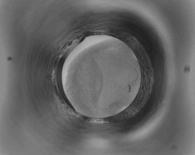 X0000114670767200911181207