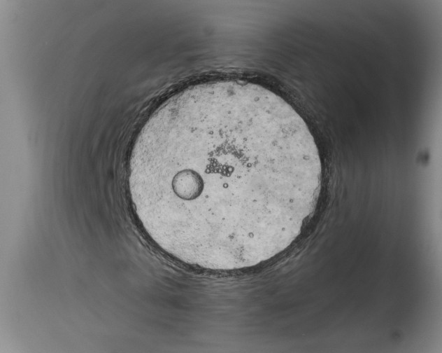 X0000114670769200911181206