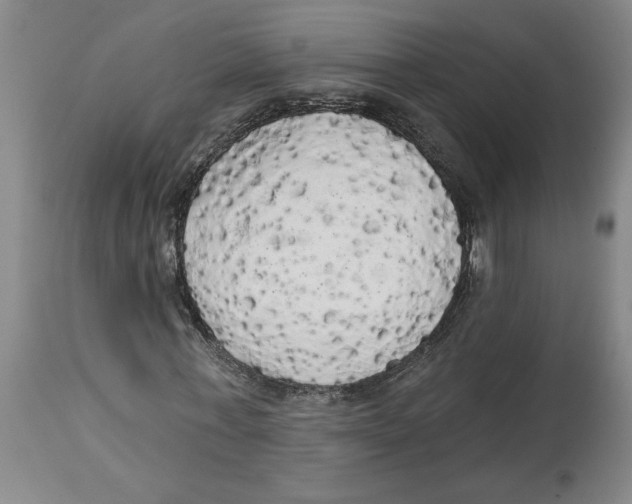 X0000114670771200911181206